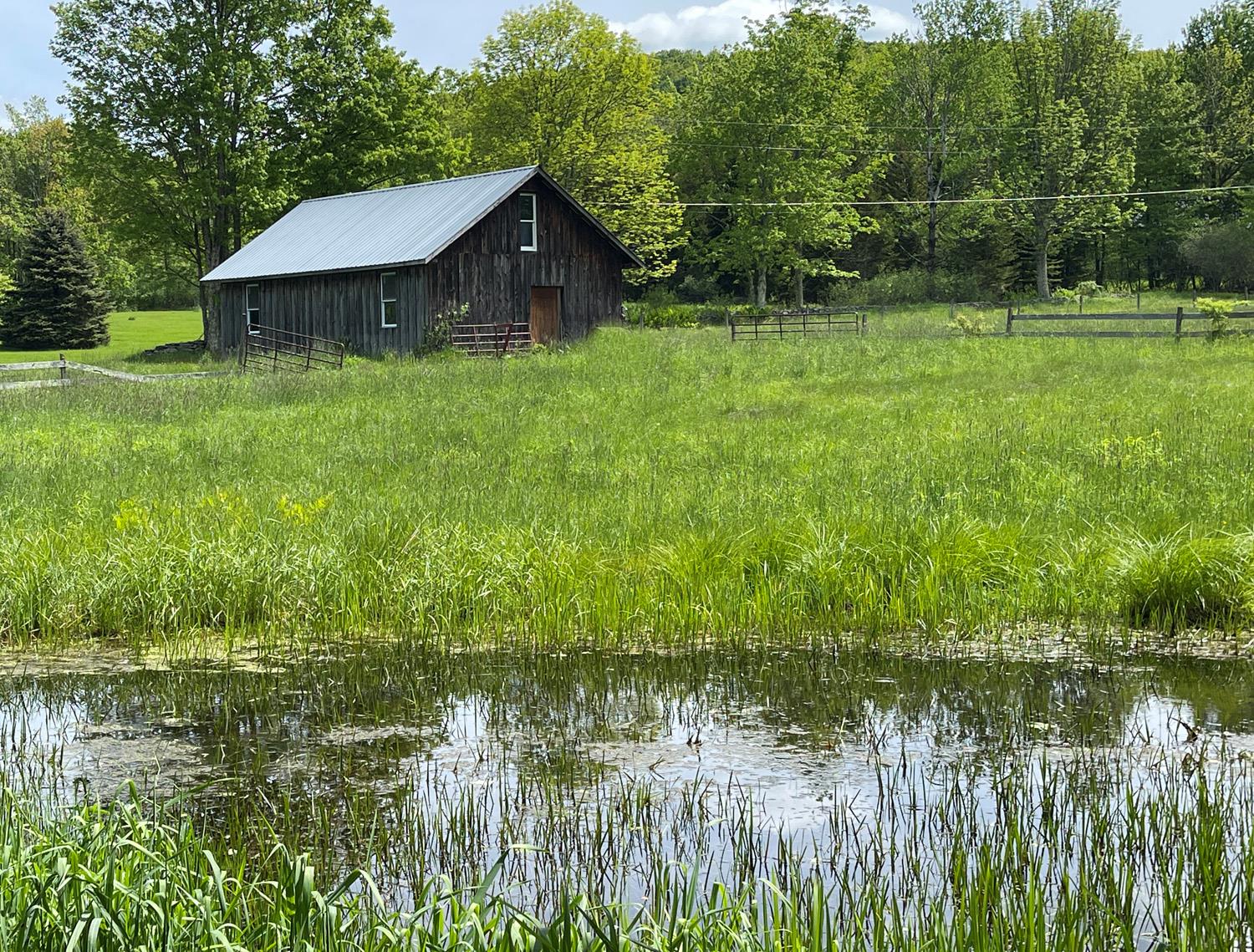 Property photo # 1