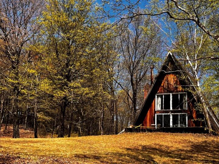 Property photo # 1
