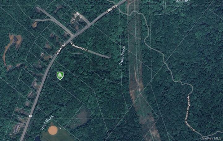 Property photo # 1